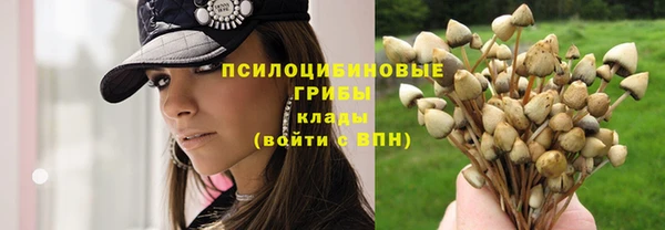 шишки Сафоново
