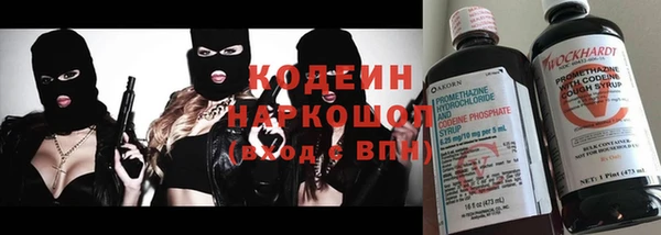 дмт Алзамай
