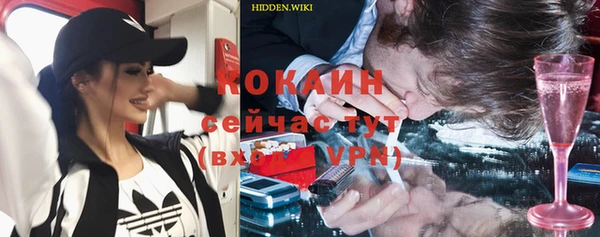 твердый Алексин
