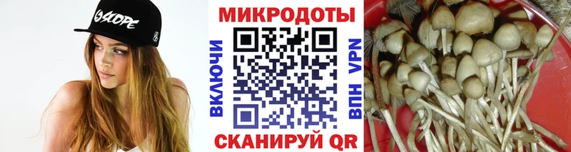Псилоцибиновые грибы Magic Shrooms  ссылка на мегу онион  Катав-Ивановск 
