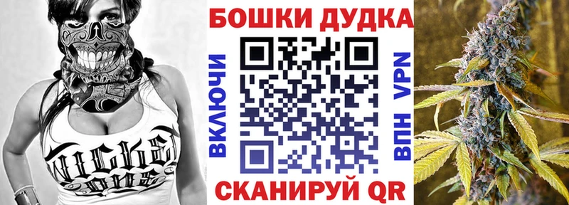 Бошки Шишки план  купить  цена  Катав-Ивановск 